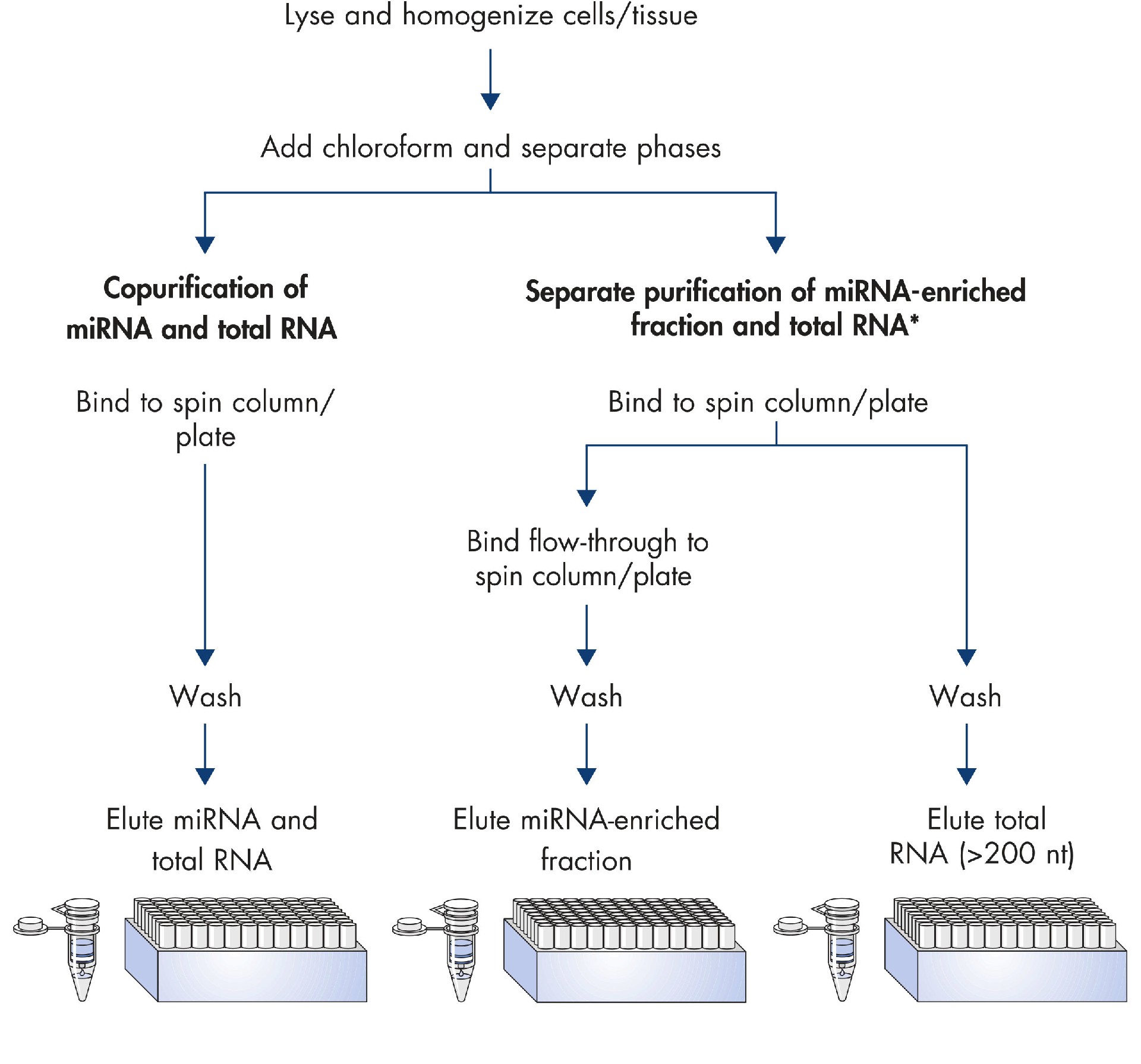 miRNA kit.jpg